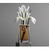 Rabanne Silver Skin 100ml EDP