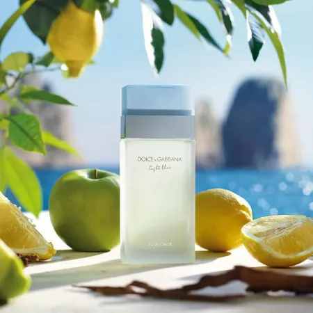 Dolce & Gabbana Light Blue 100ml